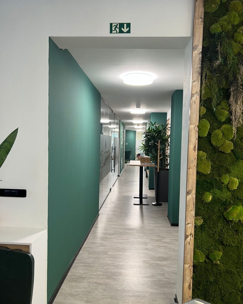 vymalba prostor Ceske budejovice