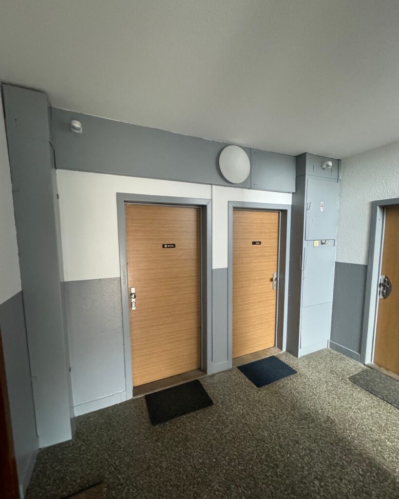 vymalba spolecnych prostor CB